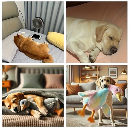 Soft Duck Plush Toy for Pets