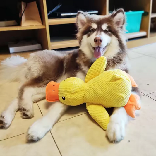 Dog Stomping Duck Toy – Bite-Resistant, Teeth Cleaning